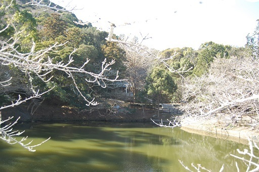 DSC_0001.JPG