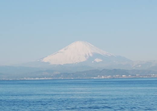 DSC_0002 (520x369).jpg