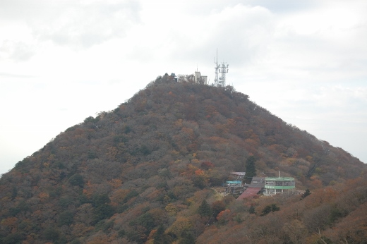 DSC_0003 (520x346).jpg