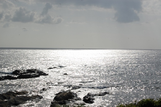 DSC_0005 (520x346).jpg