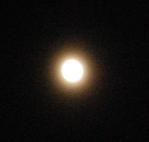 DSC_0006.JPG