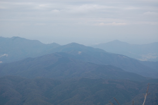 DSC_0006 (520x346).jpg