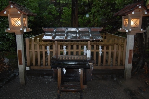 DSC_0007 (520x346).jpg