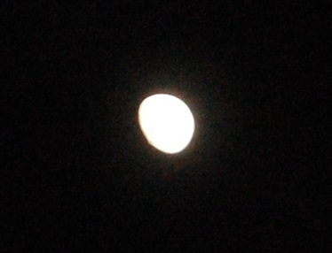 DSC_0009.JPG