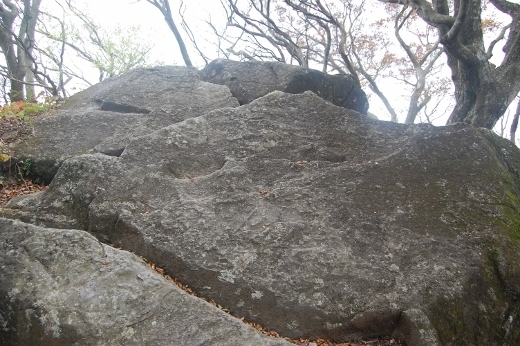 DSC_0012 (520x346).jpg