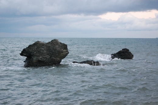DSC_0015 (520x346).jpg