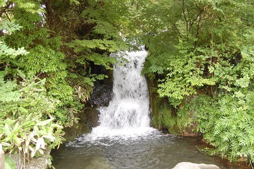 DSC_0016.JPG