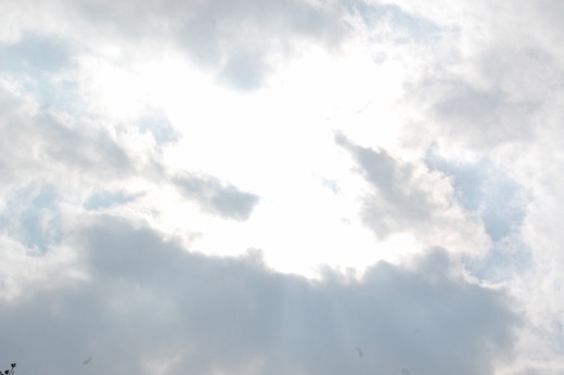 DSC_0016 (520x346).jpg