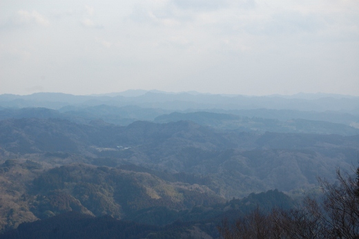 DSC_0018 (520x346).jpg