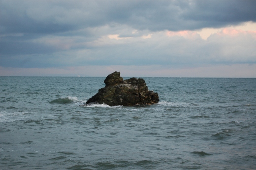 DSC_0020 (520x346).jpg