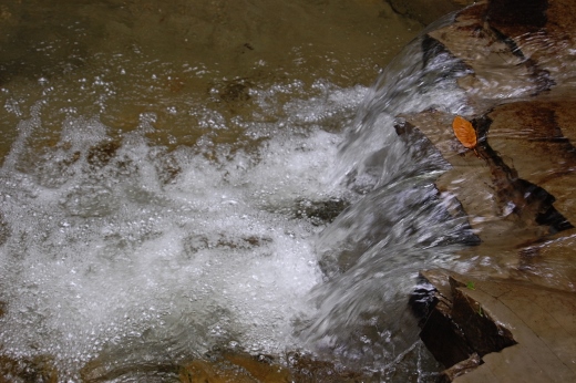 DSC_0021 (520x346).jpg