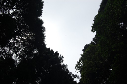 DSC_0026.JPG