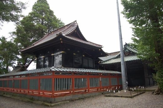 DSC_0030 (520x346).jpg