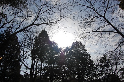 DSC_0031.JPG