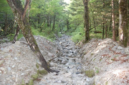 DSC_0032.JPG
