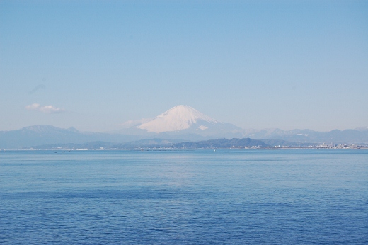 DSC_0032 (520x346).jpg