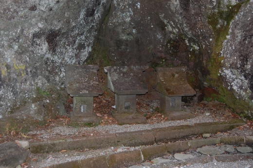 DSC_0035 (520x346).jpg