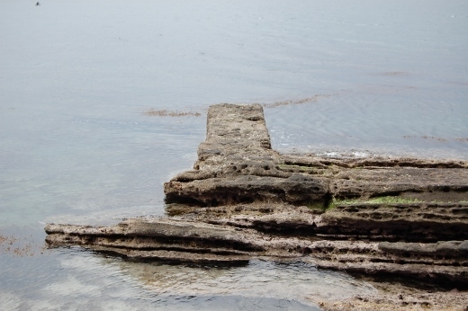 DSC_0036 (520x346).jpg