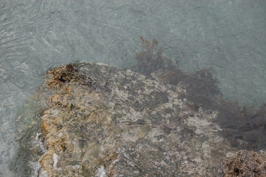 DSC_0037 (520x346).jpg