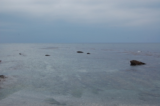 DSC_0041 (520x346).jpg