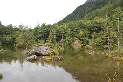 DSC_0046.JPG