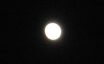 DSC_0047.JPG