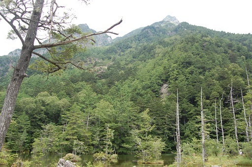 DSC_0047.JPG