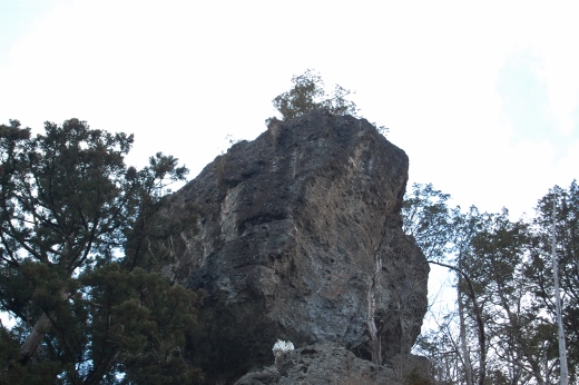 DSC_0049 (520x346).jpg
