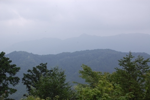DSC_0052 (520x346).jpg