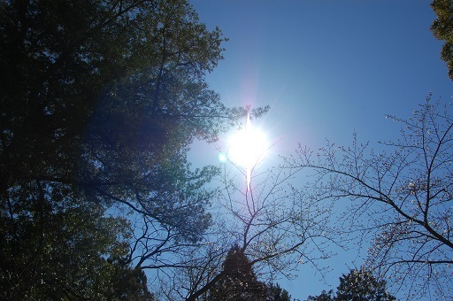 DSC_0054.JPG