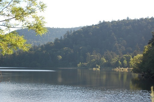 DSC_0056.JPG