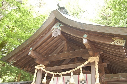 DSC_0064.JPG