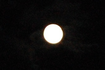 DSC_0065.JPG