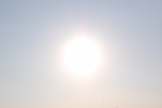 DSC_0065 (520x346).jpg