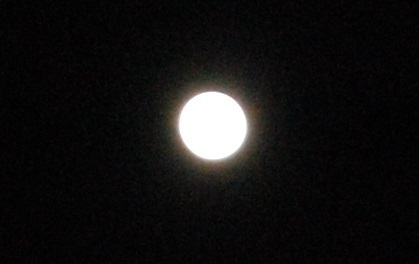 DSC_0068.JPG