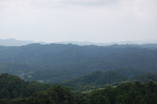 DSC_0068 (520x346).jpg