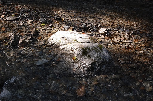 DSC_0069.JPG