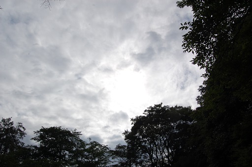 DSC_0070.JPG