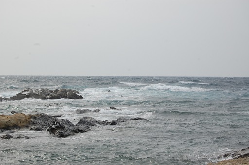 DSC_0071.JPG