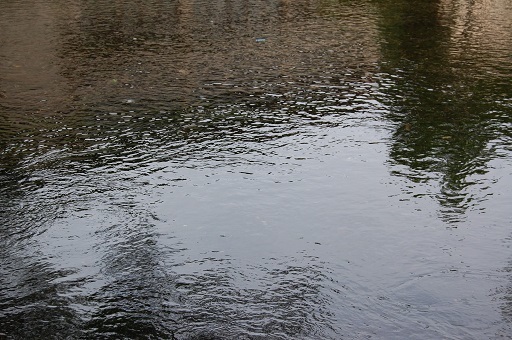 DSC_0071.JPG