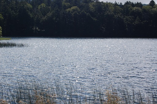 DSC_0072.JPG