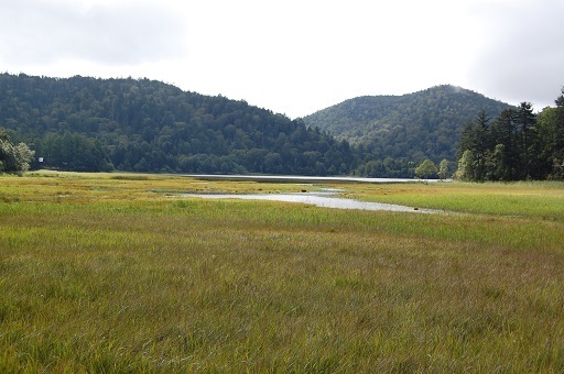 DSC_0074.JPG