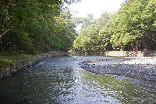 DSC_0074.JPG