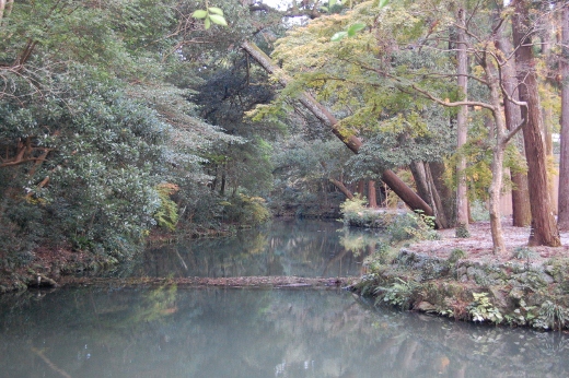 DSC_0074 (520x346).jpg