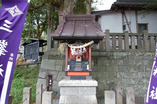 DSC_0074 (520x346).jpg