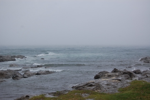 DSC_0078 (520x346).jpg