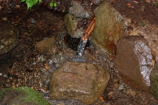 DSC_0078 (520x346).jpg