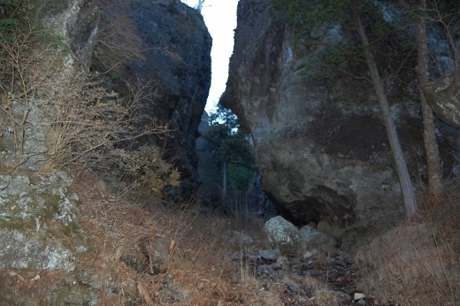 DSC_0078 (520x346).jpg