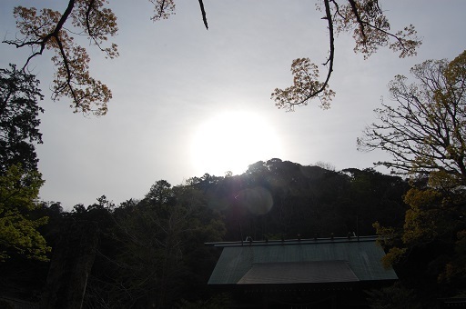 DSC_0079.JPG