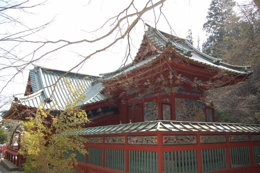 DSC_0080 (520x346).jpg